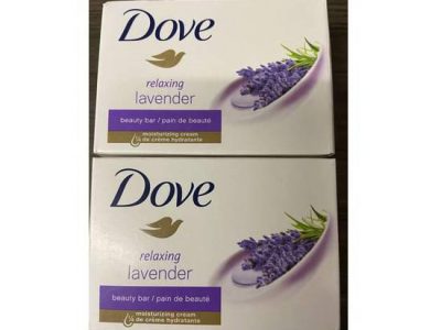 Dove Soap (106g)