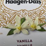 Haagen-Dazs Vanilla Tub