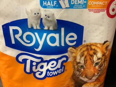 Royale Tgr Paper Towel